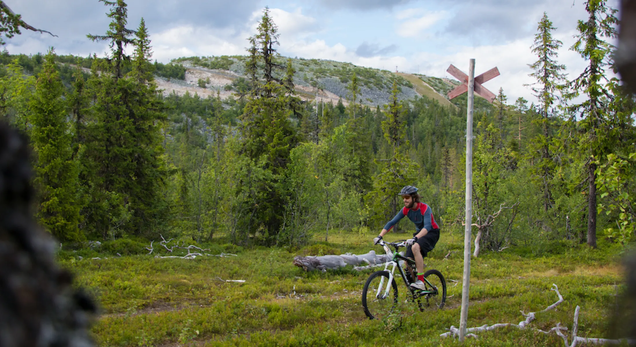 Fjällcykling under sommar i Vemdalen